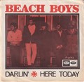 beach boys.jpg