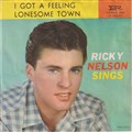 ricky nelson 45.jpg